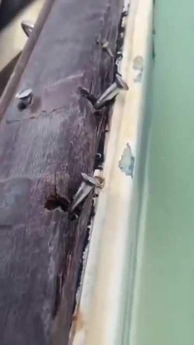 galera to com um problema aqui no barco