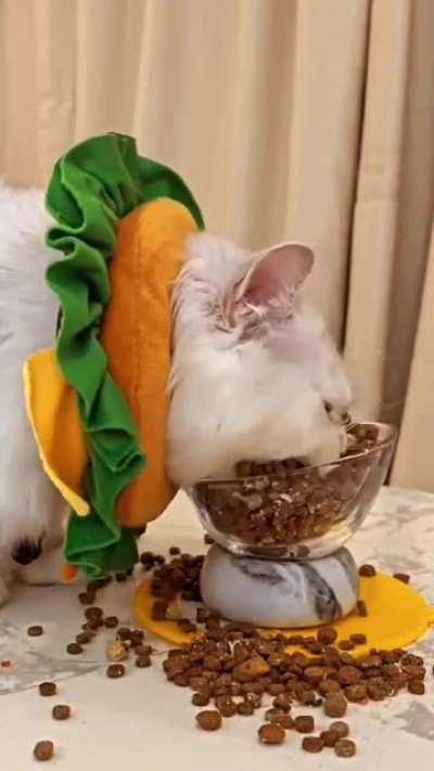 When hunger takes over