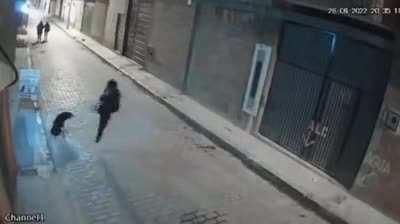 Attempting to kick a dog for no reason.