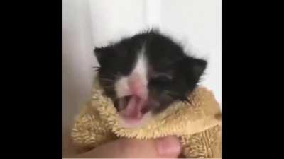 FIZ NA PRESSA PQ TAVA COM VONTADE DE CAGAR