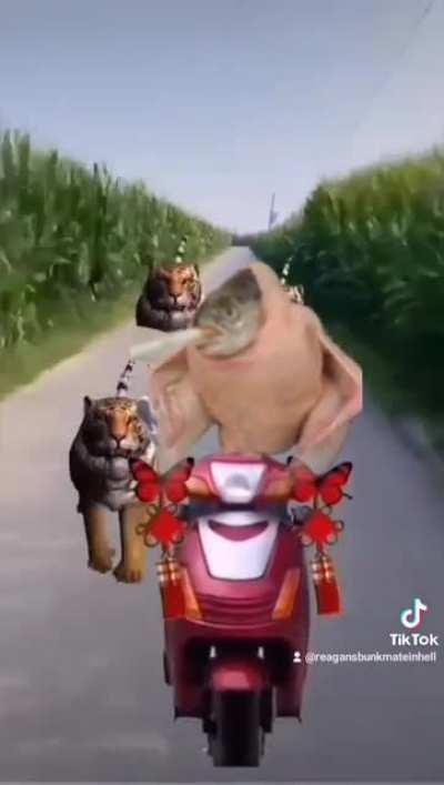 Smoking makes you run faster.