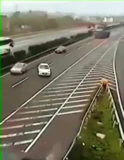 Be safe out there guys 