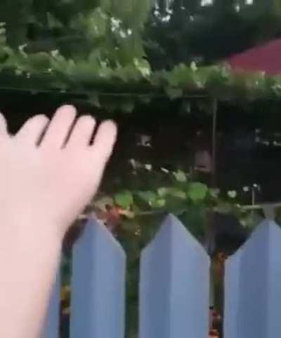 Anti surveillance fence