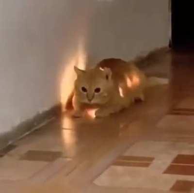 Well, it's time for a vet visit, Garfield