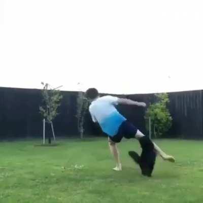 Cats are hard to impress