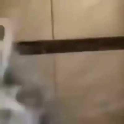 Que hable la mayoria