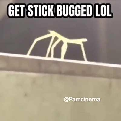 What he doing with da sticks