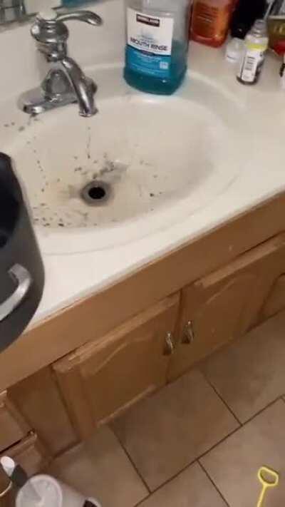 Attempting to unclog a drain