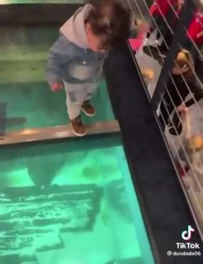 I love how long it took him to notice