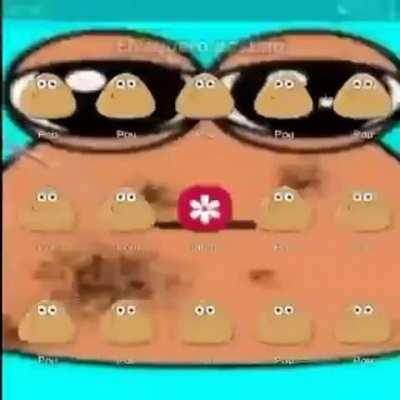 Pou
