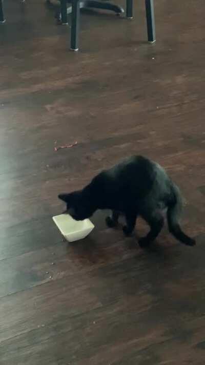 “Come at me water” -Mrs. Pants