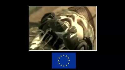 Put this together quickly when I was sick as Raiden dying