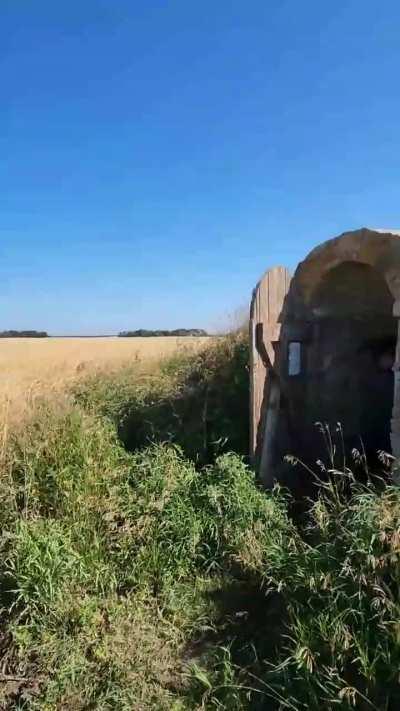 This new shader pack is 💯