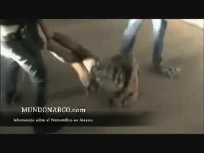 Does anybody know the name of this song?