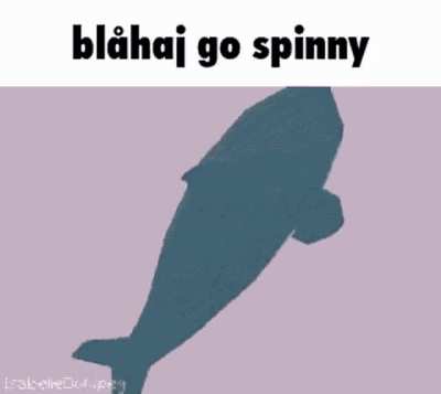 You have been visited by the magic spinning blåhaj