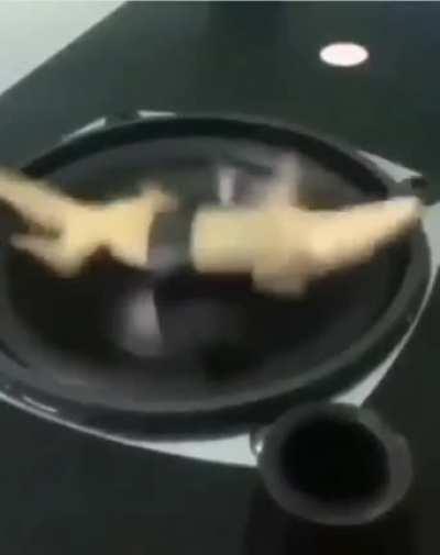 pls help with the name