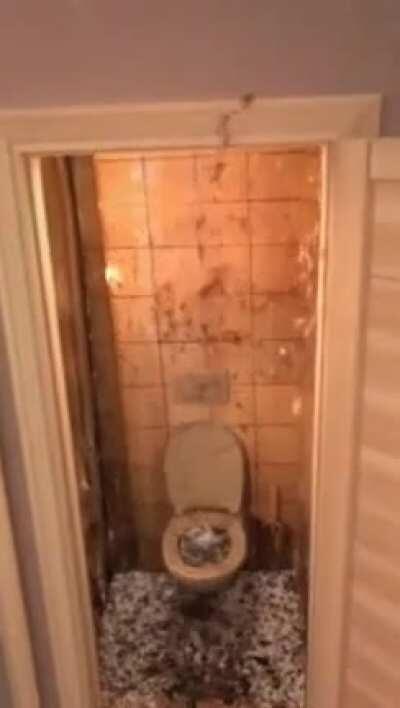 Adding one line to a bad quality code and then pressing the run button