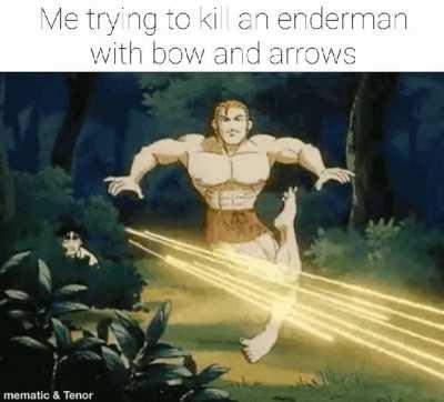 It's annoying when you're tryna shoot the end crystals and your arrow accidentally hits an enderman