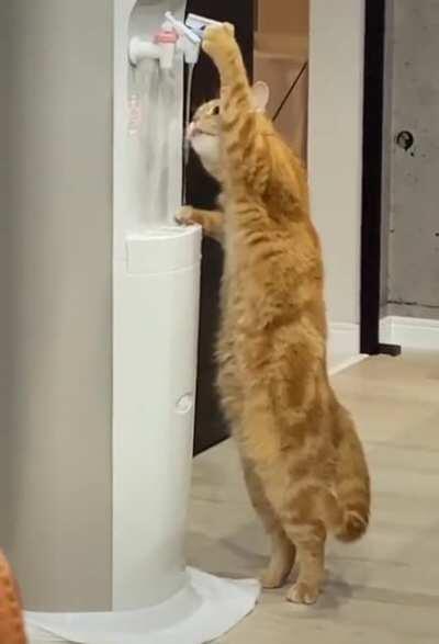 Don't need no hooman