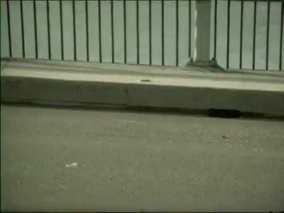 I'm 15 and this is yeet