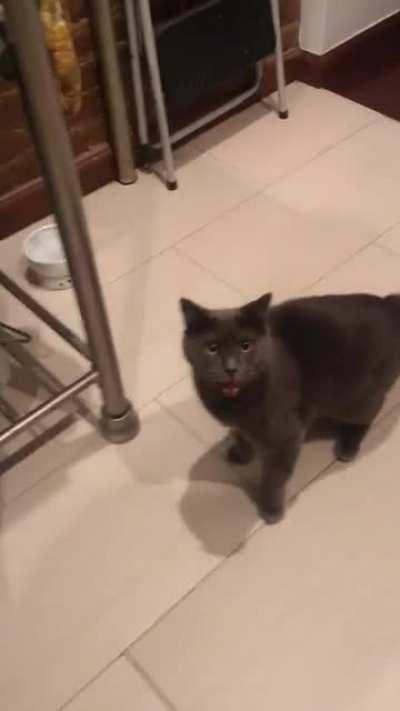 When Cathy's dinner isn't served fast enough