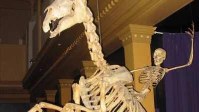 You ain’t gonna scroll by without saying YEEEHAWW now are ya?