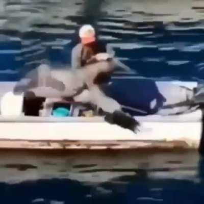 Everybody knows Florida guy, now time for the Minnesota man