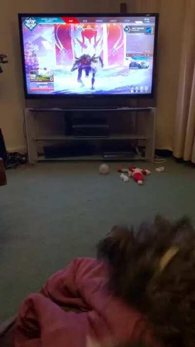 Dog goes after Rev, he does this every time 😂