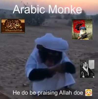 Arabic monke