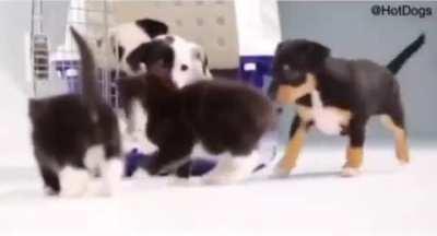 no es un meme ni es porno, pero vale la pena ver algo así de vez en cuando.