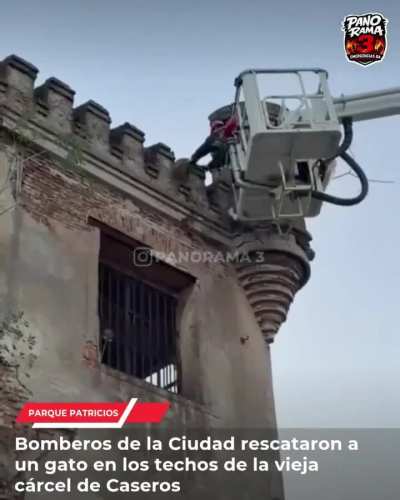 Continúan los rescates felinos en todo el país, esta vez personal de la Estación II Patricios se desplazó a la antigua cárcel de Caseros para asistir a un pequeño gato en problemas