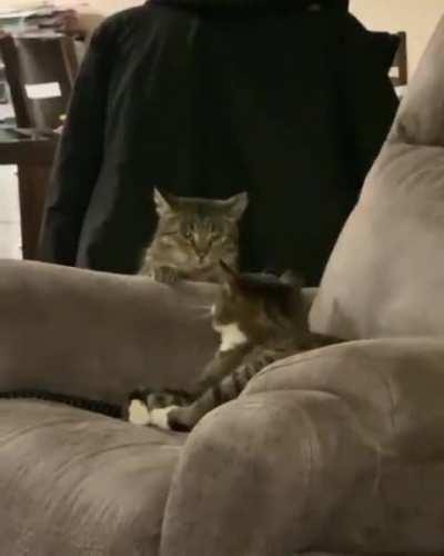 He missed his chance for the bap on the head.