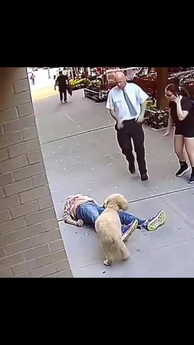 People are horrible. I hope they catch this guy!!!