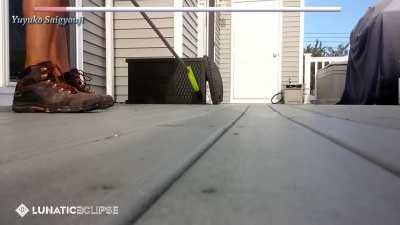 Yuyuko fight be like