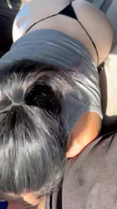 Another satisfied UBER driver