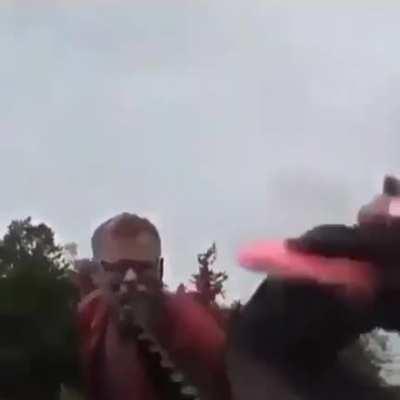 Day in the life of raccoon