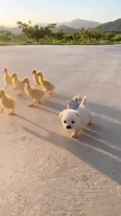 Very 𝗩𝗘𝗥𝗬 cute