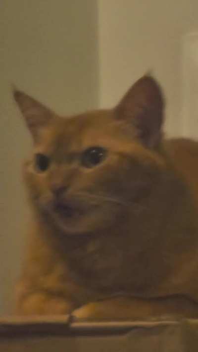 Conceição with lasers