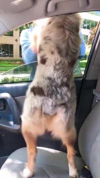 Shake Shake Shake Senora!