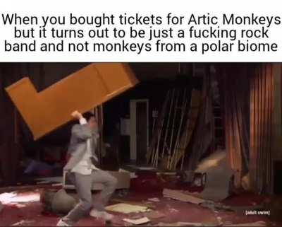 rule i accidentally clicked on the sub