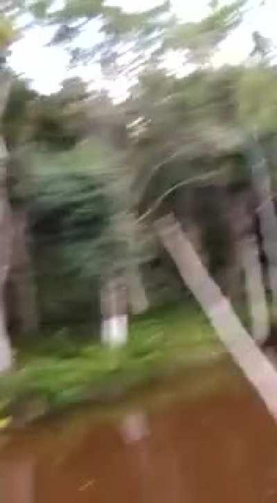 Just fishing in Brazil