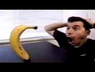 The banana is way too powerful!