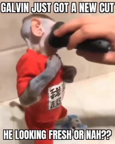 I'd let Calvin cuck me