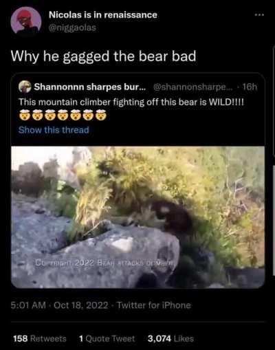 I just KNOW that bear was embarrassed getting pushed off the mountain like that