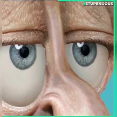 Humanizing Squidward tentacles