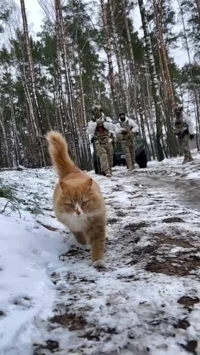 Fluffy leads the group to briefing