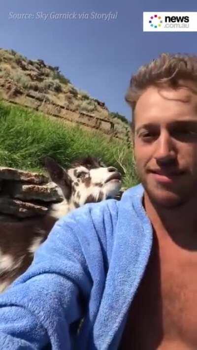 Seraphinished mid trying to ult the fed enemy Zed into her turret but he's not falling for it and calls her trash.