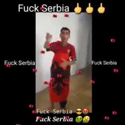 Average Albanian