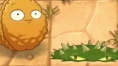 Top 10 armadilhas usadas no vietnam.