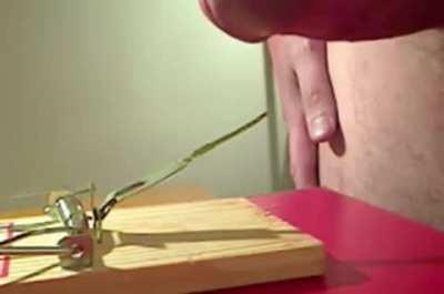 Brave White Thug vs Mousetrap 